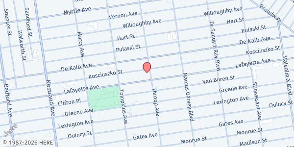 Map showing NEBHDCo's Golden Harvest Pantry at 376 Throop Ave, Brooklyn, NY