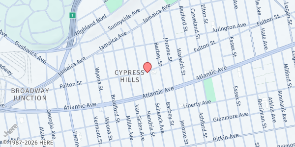 Map showing On The Go Relief - Brooklyn at 2832 Fulton Street, Brooklyn, NY