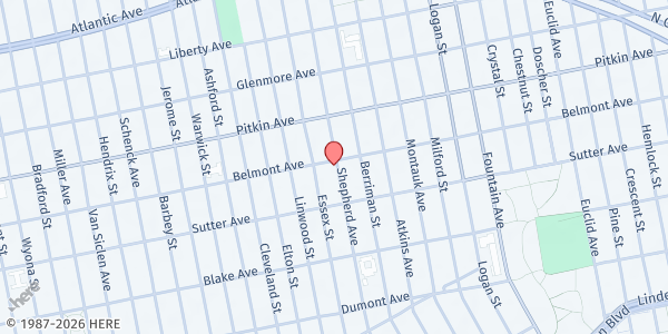 Map showing OPEN DOOR TO HEAVEN OUTREACH MINISTRY INC at 474 SHEPHERD AVENUE, Brooklyn, NY