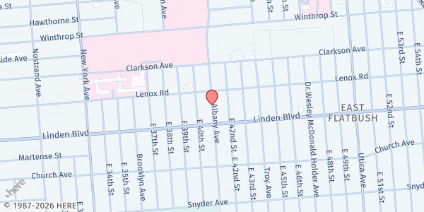 Map showing St. Vincent de Paul Food Pantry at 820 Albany Avenue, Brooklyn, NY