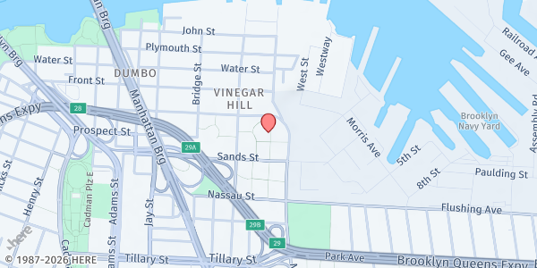 Map showing VINEGAR HILL FOOD PANTRY at 228 YORK STREET, Brooklyn, NY