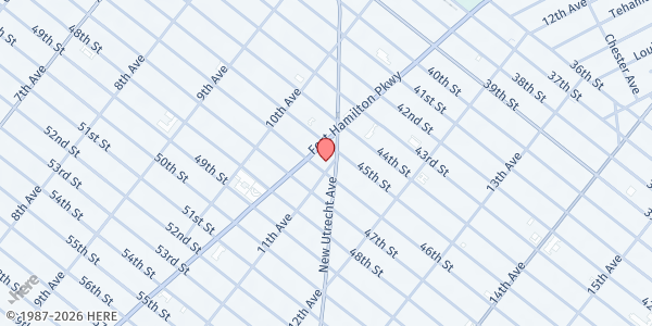 Map showing Zichron Acheinu Levy (ZAL) Food Pantry at 4518 11TH AVENUE, Brooklyn, NY