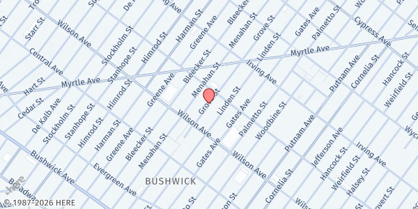 Map showing Hope Ballfield at 249 Grove Street, Bushwick, NY