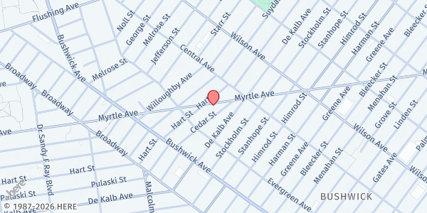 Map showing Love Gallery Our Food NYC - Bushwick at 1254 Myrtle Avenue, Bushwick, NY