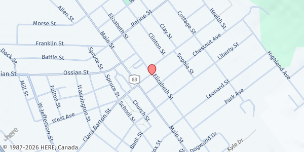 Map showing Dansville Ecumenical Community Food Pantry at 41 Elizabeth Street, Dansville, NY