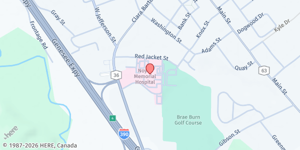Map showing URMC Dansville Noyes Health Emergency Food Pantry at 111 Clara Barton Street, Dansville, NY