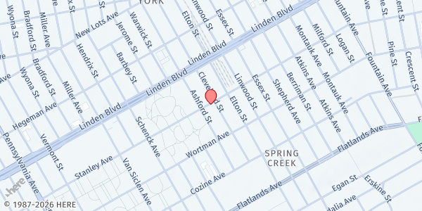 Map showing Christ the Rock Church International at 820 Stanley Avenue, East New York, NY