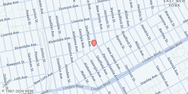 Map showing HOPE EMPOWERMENT AND DEVELOPMENT ZONE FOOD PANTRY at 369 New Lots Avenue, East New York, NY