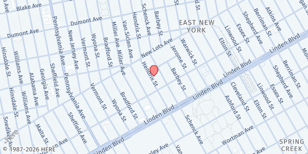 Map showing House Of David Food Program at 747 Hendrix Street, East New York, NY