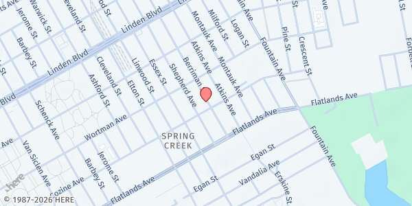 Map showing TCAH Cyber Pantry Brooklyn at 744 Berriman Street, East New York, NY