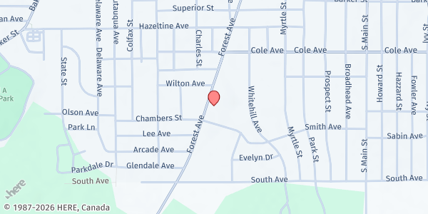 Map showing TREE OF LIFE FOOD CUPBOARD at 825 FOREST AVENUE, JAMESTOWN, NY