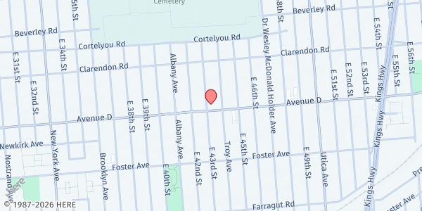 Map showing Caribbean American SteelPan Ed. Center at 4301 Avenue D, Little Caribbean, NY