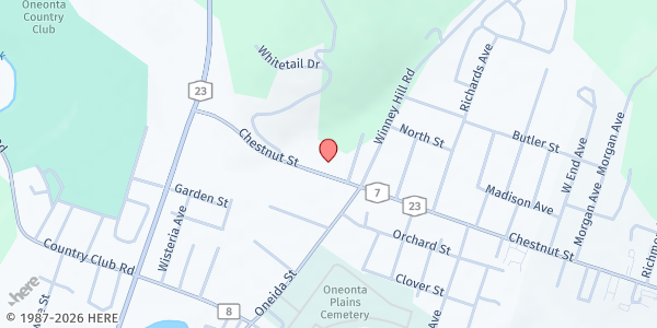 Map showing Action Lube at 458 Chestnut St, Oneonta, NY