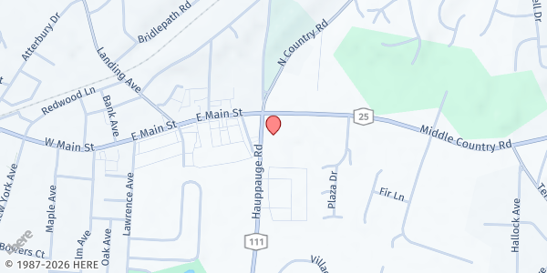 Map showing WellLife Network/Smithtown at 11 Route 111, Smithtown, NY