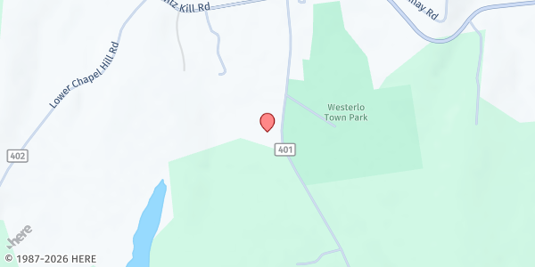 Map showing Westerlo Town Hall at 933 County Route 401, Westerlo, NY