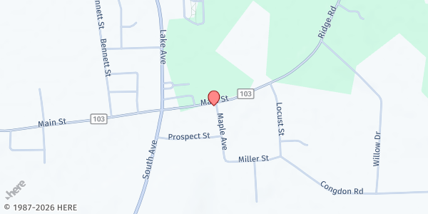 Map showing Wayne County Rural Ministry Food Pantry at 4170 Main Street, Williamson, NY