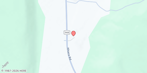 Map showing Huizinga Farmstead Farm Stand at 463 Ithaca Rd, Willseyville, NY