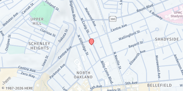 Map showing Pittsburgh Community Services at 249 N. Craig St., Pittsburgh, PA