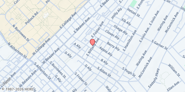 Map showing Central PA Community Action - Centre House at 217 E. Nittany Ave., State College, PA