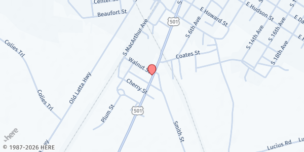 Map showing Johnson Foundation at 1301 U.S. 301, Dillon, SC