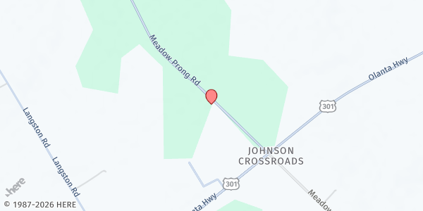 Map showing Meadow Prong at 6933 Meadow Prong Road, Effingham, SC