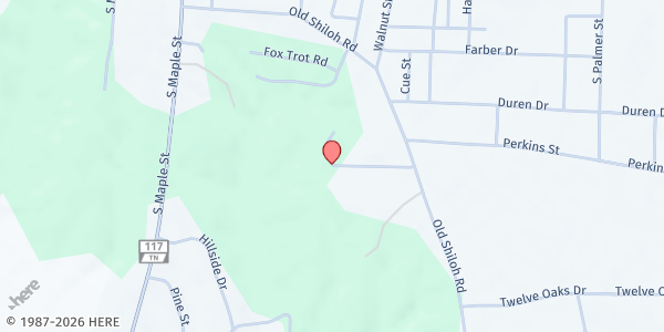 Map showing Adamsville Free Will Baptist Church at 309 Freewill St, Adamsville, TN