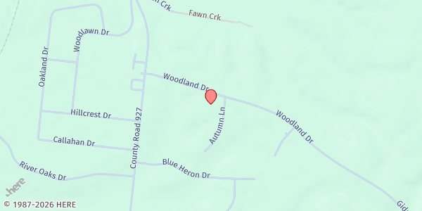 Map showing Woodland Fellowship Church at 718 Woodland Dr, New Johnsonville, TN