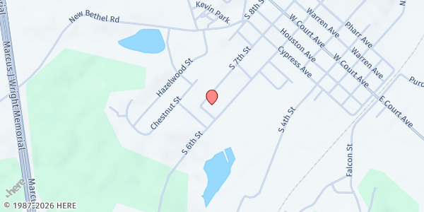 Map showing Petra Ministries at 393 S 6th St, Selmer, TN