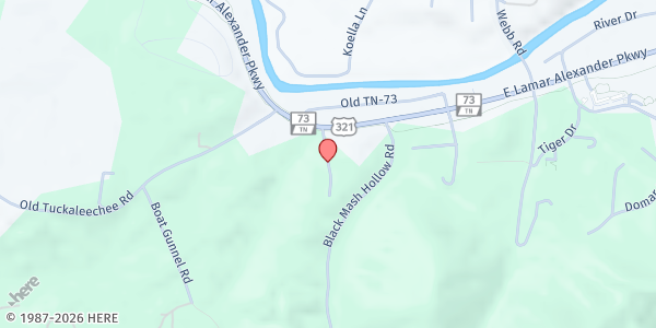 Map showing Food Pantry Service Area - 37882 at , Townsend, TN
