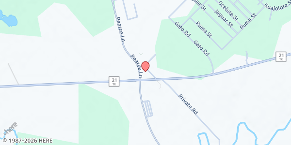 Map showing Community of Hope Inc. - Cedar Creek at 111 Pearce Lane, Cedar Creek, TX