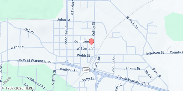 Map showing The Lord's Food Pantry at 209 Coffey St., Daingerfield, TX