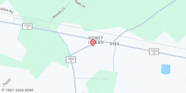Map showing Honey Island Assembly of God at 9097 FM1293, Kountze, TX