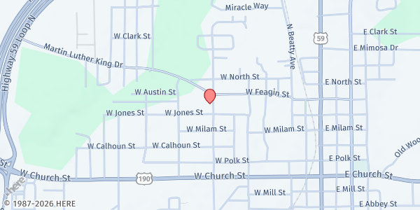 Map showing MannaFest Food Pantry at 803 W. Feagin St., Livingston, TX