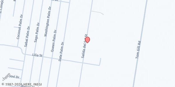 Map showing His Hands Ministries Inc at 17214 Salida Del Sol St, Penitas, TX