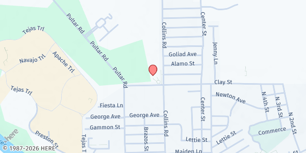 Map showing Catholic Charities (Mamie George Community Center) at 1111 Collins Rd, Richmond, TX