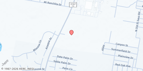Map showing South Texas College Food Pantry at 142 FM 3167, Rio Grande City, TX