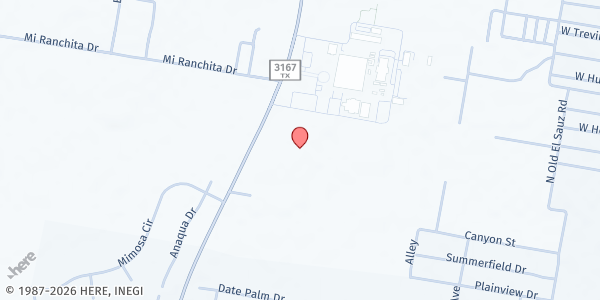 Map showing South Texas College Food Pantry at 142 Fm 3167, Rio Grande City, TX