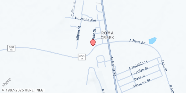 Map showing Colonias Unidas/Commissioner's Precinct 2 Food Pantry at 20 Farm to Market Rd 650, Roma, TX